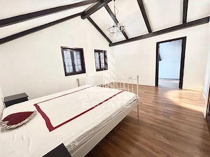 Casa cu 5 camere de inchiriat, curte proprie, Sanmihaiu Roman, Timis - imagine 4