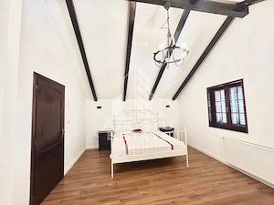 Casa cu 5 camere de inchiriat, curte proprie, Sanmihaiu Roman, Timis - imagine 28