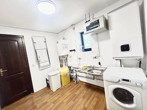 Casa cu 5 camere de inchiriat, curte proprie, Sanmihaiu Roman, Timis - imagine 22