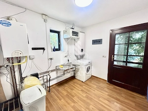 Casa cu 5 camere de inchiriat, curte proprie, Sanmihaiu Roman, Timis - imagine 31