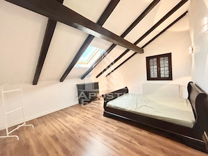 Casa cu 5 camere de inchiriat, curte proprie, Sanmihaiu Roman, Timis - imagine 24