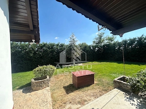 Casa cu 5 camere de inchiriat, curte proprie, Sanmihaiu Roman, Timis - imagine 29