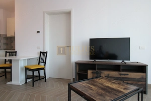ISHO - Take Ionescu; 2 camere, mobilate modern. - imagine 6