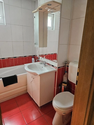 dau in chirie  spatiu comercial situat in centru zona parcul petofi nr 4  - imagine 7