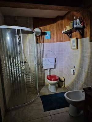 CABANĂ DE VÂNZARE ÎN ROMULI, BISTRIȚA-NĂSĂUD - imagine 18