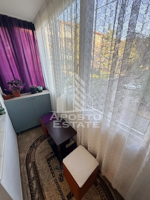 Apartament cu 2 camere de vanzare, etaj intermediar, Lipovei,Timisoara - imagine 6
