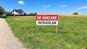 Teren de vânzare 