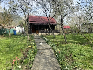 Casa de vacanta la munte