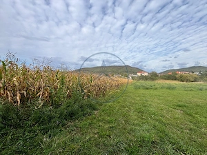 🌳 TEREN INTRAVILAN DE VÂNZARE – 2.500 MP – LA 15 KM DE BISTRIȚA
