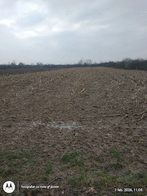 Zona agricola Lapusel-Bozanta Mica teren 5000 mp extravilan pentru culturi