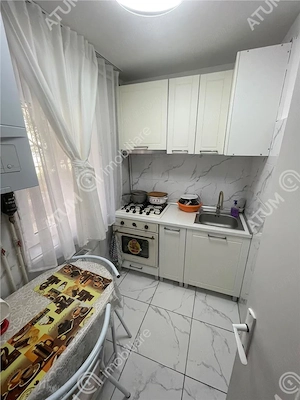Garosniera complet renovata si pivnita zona Lazaret Sibiu - imagine 7