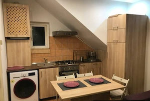 Apartament deosebit de închiriat în vilă P+2, cu grădină comună   Banu Manta - imagine 5