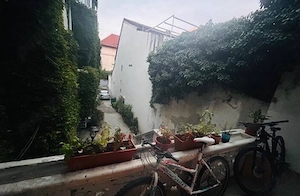 Apartament deosebit de închiriat în vilă P+2, cu grădină comună   Banu Manta - imagine 9