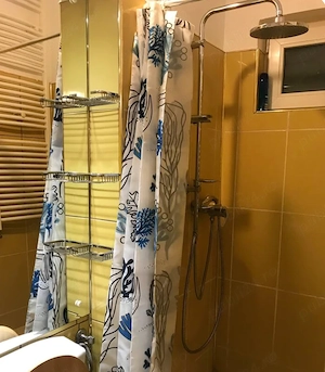 Apartament deosebit de închiriat în vilă P+2, cu grădină comună   Banu Manta - imagine 2