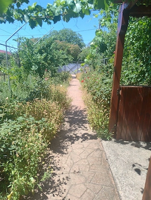 Vând teren intravilan, comuna Vânători, județul Galați! - imagine 2