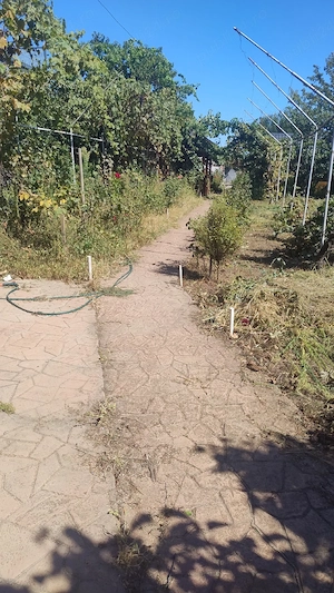 Vând teren intravilan, comuna Vânători, județul Galați! - imagine 4