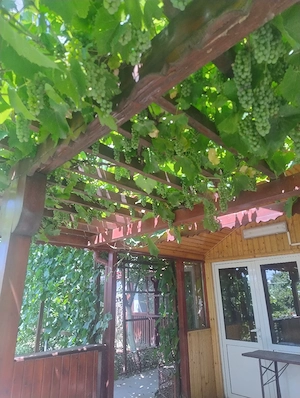 Vând teren intravilan, comuna Vânători, județul Galați! - imagine 3