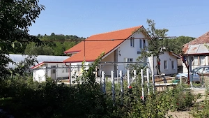 Casa individuala in stare foarte bună într o zona de poveste