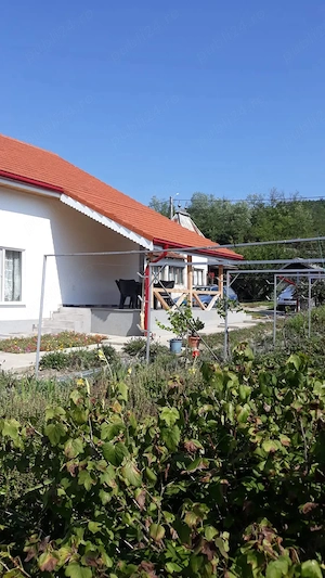 Casa individuala in stare foarte bună într o zona de poveste - imagine 3