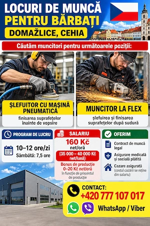 Locurii de munca Republica Ceha 