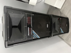Sistem audio Vliiodor Professional DS-2 W   activ + pasiv