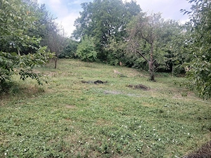 Teren intravilan 1.450 MP  Casa  Bătrânească+ANEXĂ - imagine 3