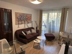 Apartament renovat 3 camere, centrala, Medicina - imagine 2