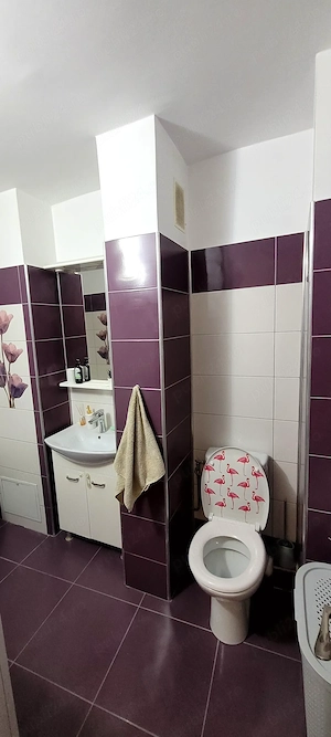 Apartament 3 camere Calea Bucuresti Lapus - imagine 10