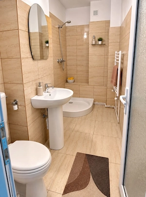 Vanzare apartament 1 camera IC Frimu, 28 mp,  comision 0% - imagine 5