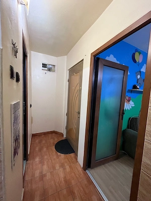 Apartament cu o cameră,decomandat,etaj intermediar,Nicolina-Podu Roș - imagine 7