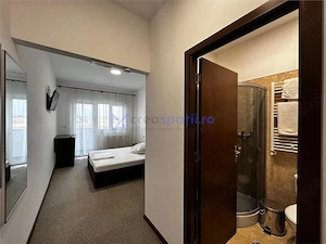 Spatiu comercial, 1478mp, vad DN, Vanatori, Neamt - imagine 8