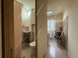 Apartament cu 1 camera in Timisoara, la etajul 2, zona Dacia - imagine 8