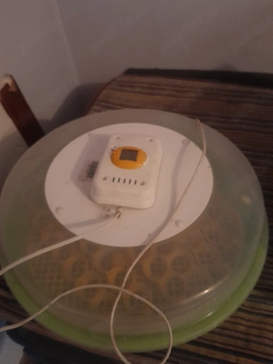 incubatorcu întoarcere