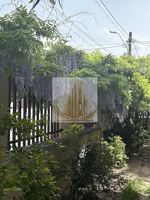 Vilă spectaculoasă în zona Brâncoveanu | 270 mp | Garaj| Curte proprie - imagine 6