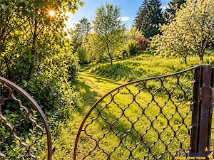 Resedinta distinctiva, pe domeniu de 2.200mp, cadru exclusivist, Central, Brasov - imagine 6