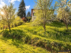 Resedinta distinctiva, pe domeniu de 2.200mp, cadru exclusivist, Central, Brasov - imagine 13
