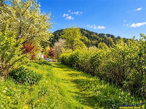 Resedinta distinctiva, pe domeniu de 2.200mp, cadru exclusivist, Central, Brasov - imagine 11
