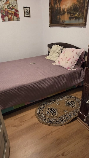 Vand casa la tara la 25 km de Bucuresti - imagine 4