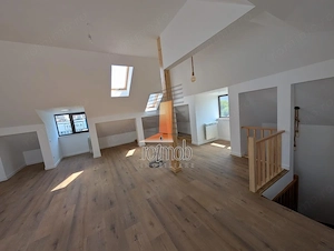 Floreasca, apartament 5 camere in vila, renovat complet - imagine 6