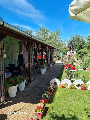 Vând proprietate deosebită,  în Ghioroc, jud. Arad   Casă cu 2 corpuri, teren 3000 mp, cu livadă și  - imagine 2