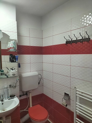                         Apartament 2 camere, spaţios, zonă centrală Mioveni - imagine 10