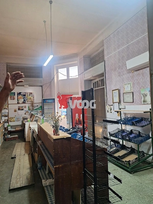 SPATIU COMERCIAL STRADAL-110 MP-ELISABETIN