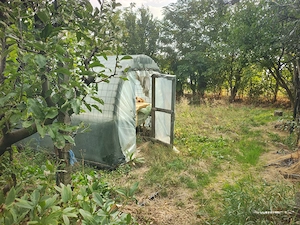 casă de vânzare sat Coasta Lupei, Nicorești, județul Galați - imagine 8