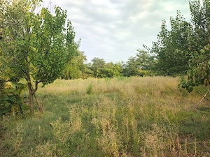 casă de vânzare sat Coasta Lupei, Nicorești, județul Galați - imagine 10