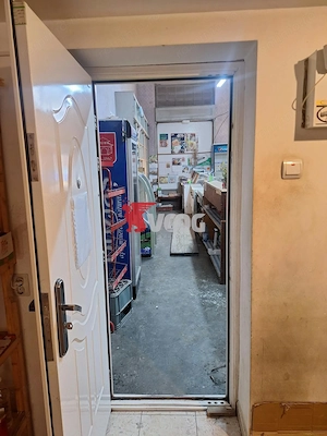 SPATIU COMERCIAL STRADAL-110 MP-ELISABETIN - imagine 6