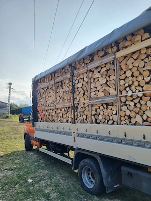 lemne de foc fag tăiate sparte paleti 
