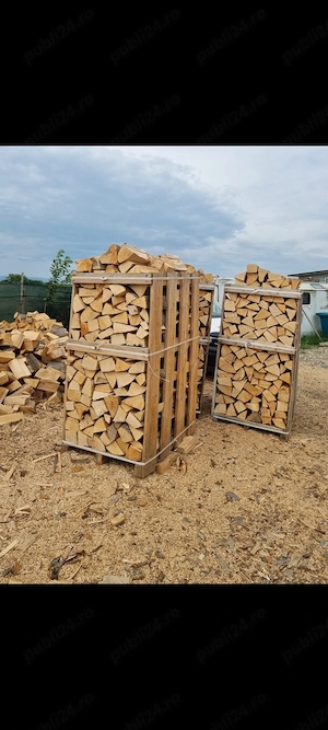 lemne de foc fag paletizate esență tare fag tăiate 