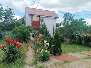 Vand casa Tămăoani Județul Galati - imagine 8