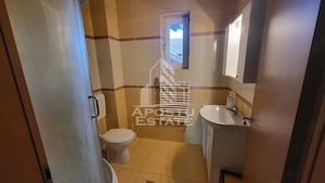 Casa individuala cu 7 camere si garaj,Dumbravita - imagine 18