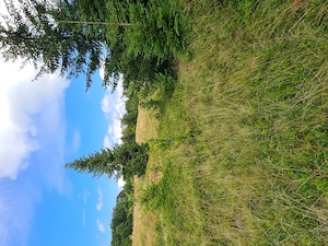 Teren Breb Maramures - imagine 4